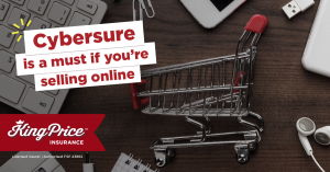 Cybersure is a must if you’re selling online