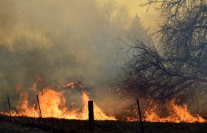 Wildfires, omicron prompt special health insurance enrollment period in Colorado - The Daily Camera
