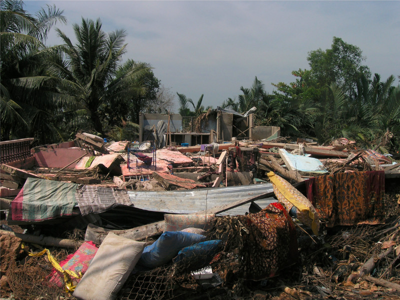 2004 Asian earthquake and tsunami