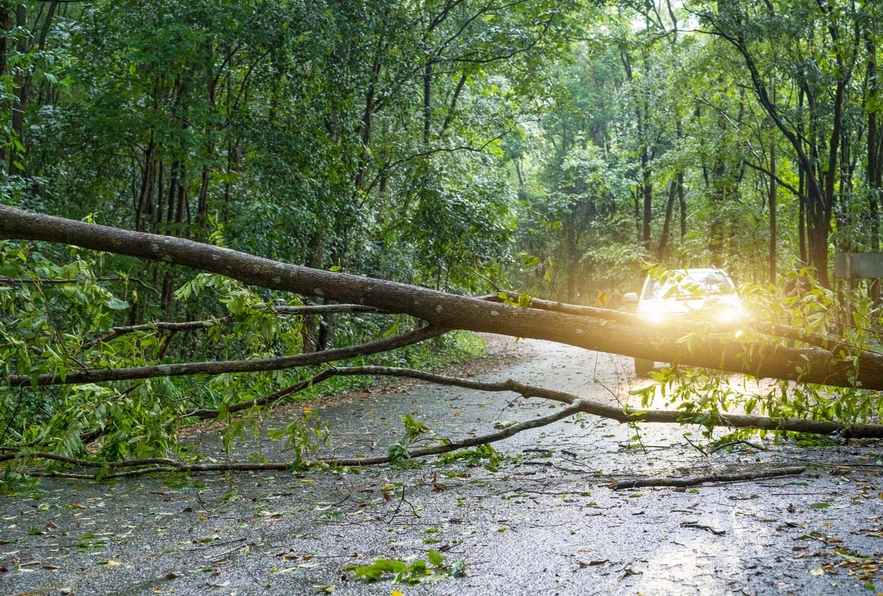 Dealing With Damage From Storm Eunice