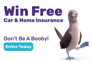 win-insurance