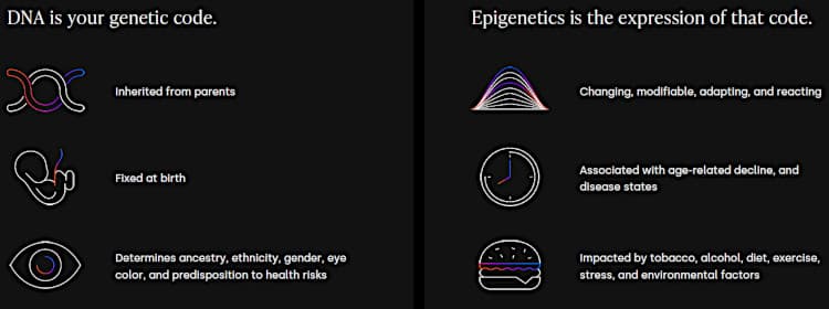 Genetics versus epigenetics.