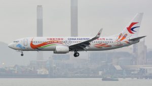 Chinese Boeing 737 With 132 Onboard Crashes After A Sudden Descent