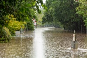 NSW and QLD floods: 31,000 claims and counting