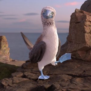 Blue-footed booby