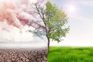 IAG welcomes government plan against climate change