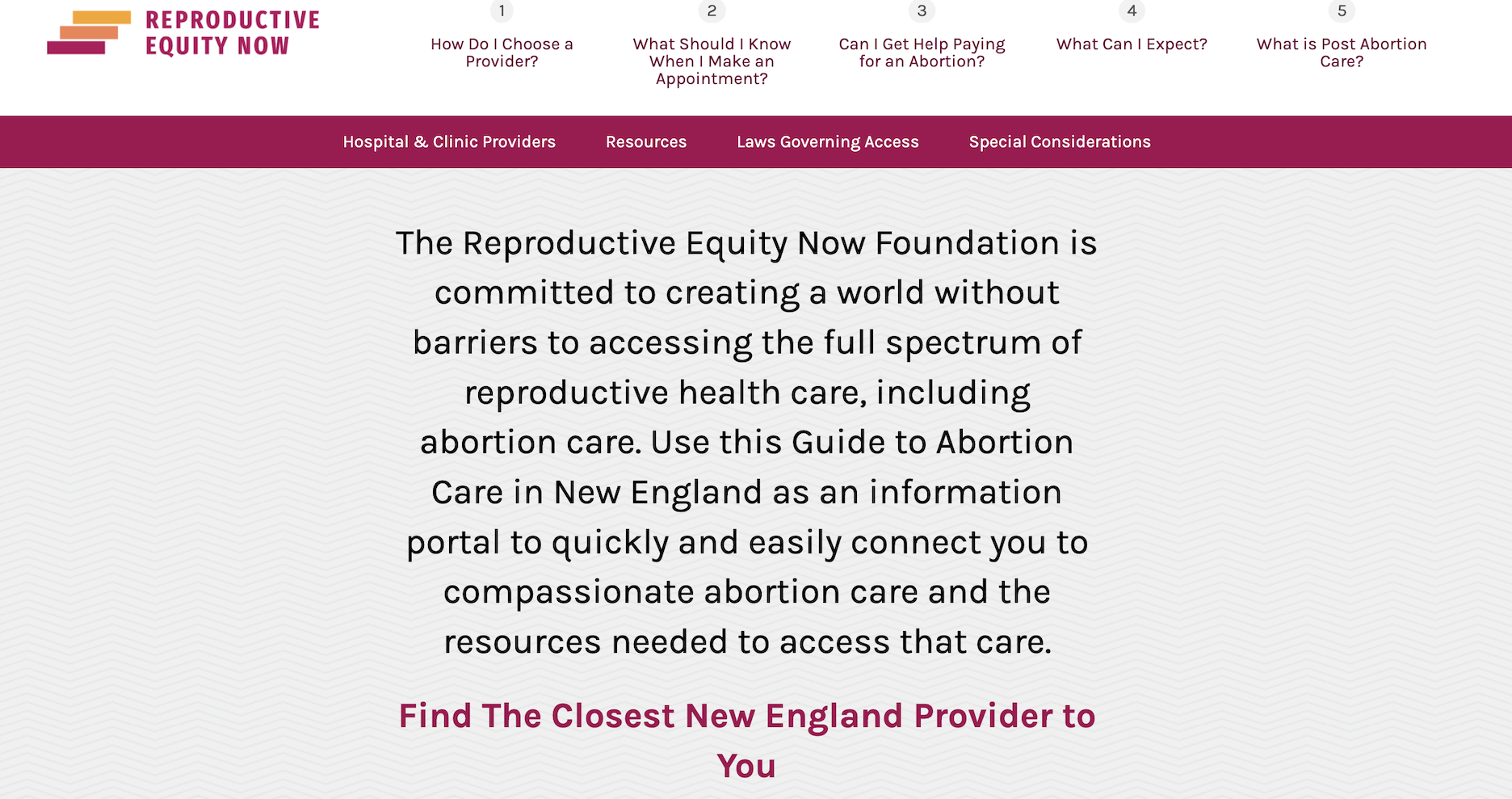 A screenshot of the new online abortion guide