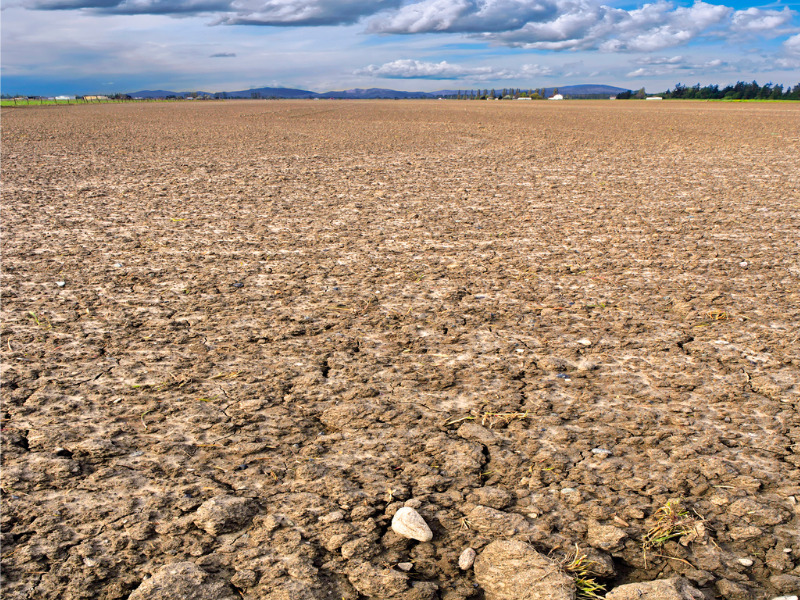 A barren farm field