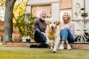 Taking your dog on a caravan holiday? - A-Plan Insurance