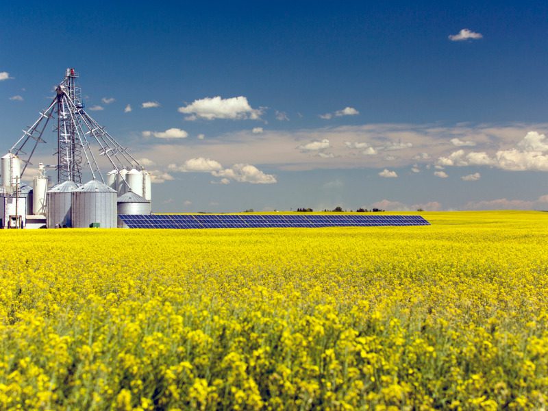 A canola grain silo with solar panel