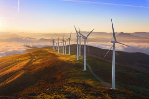 Renewable Exposures: the environmental impact of solar and wind power