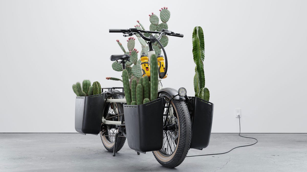 Specialized’s Best New Bike Is Lurking Behind These Cacti