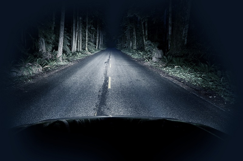 Night Driving Thru Forest - Straight Road and Creepy Dark Forest.