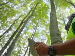 A man's arm is in the forefront of the photo. He is olding a clipboard and is surrounded by trees