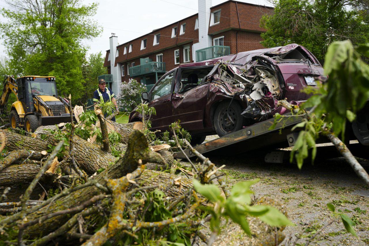 a maroon coloured minivan is being hoisted on to a tow truck. A fallen tree is in the forefront of the photo. A man in a yellow vest and a CAT vehicle are in the background.