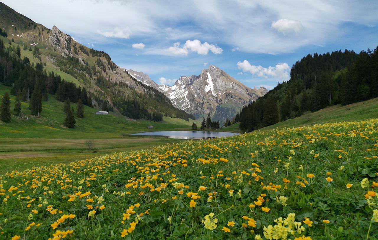 Swiss Alps Summer Image