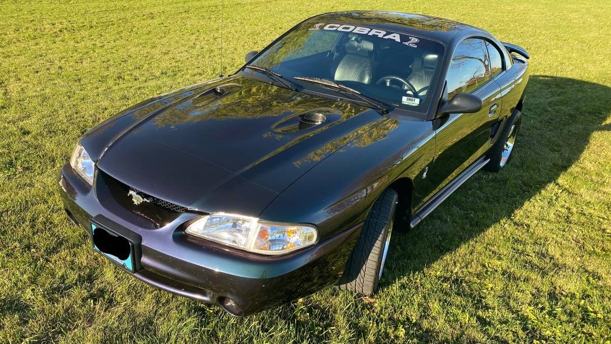 At $22,900, Is This Multi-Hued 1996 Ford Mustang SVT Cobra Worth the Green?