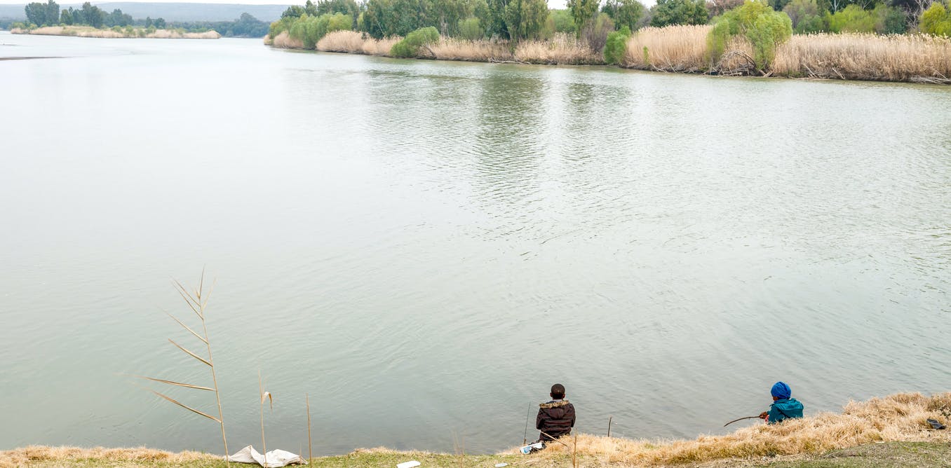 Fish in a major South African river are full of microplastics