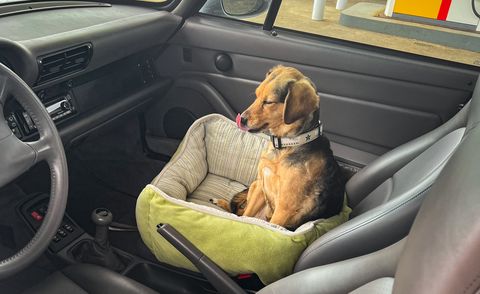 emmy in porsche 911