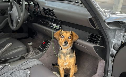 emmy in porsche 911