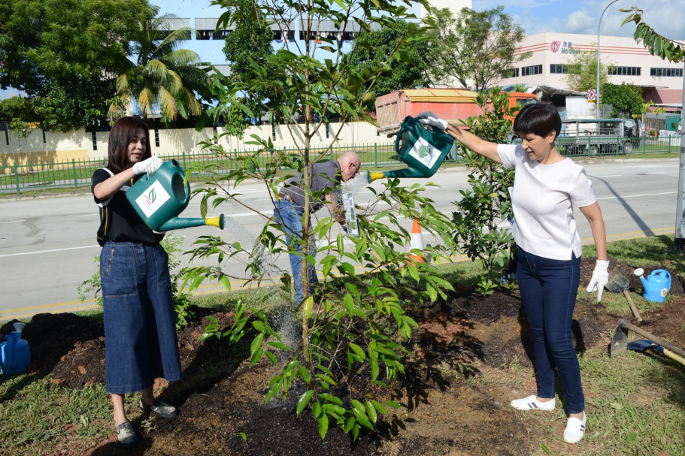 Singapore Insurance Institute supports tree-planting project