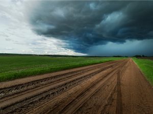 Heavy rain clouds on the Prairies