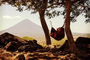 Holiday Hammock Image