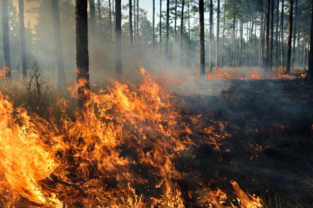 Lightning storm sparks new wildfires in BC