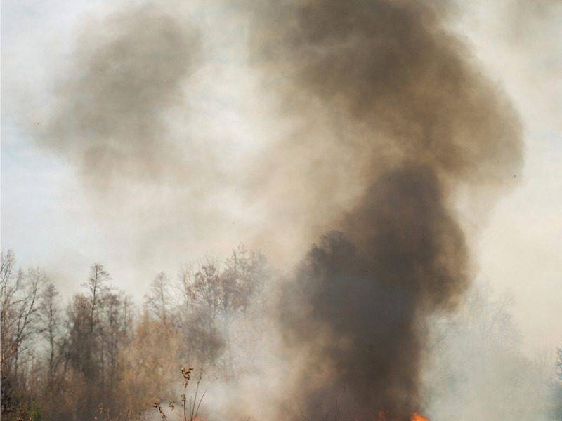 Smoke from a forest fire