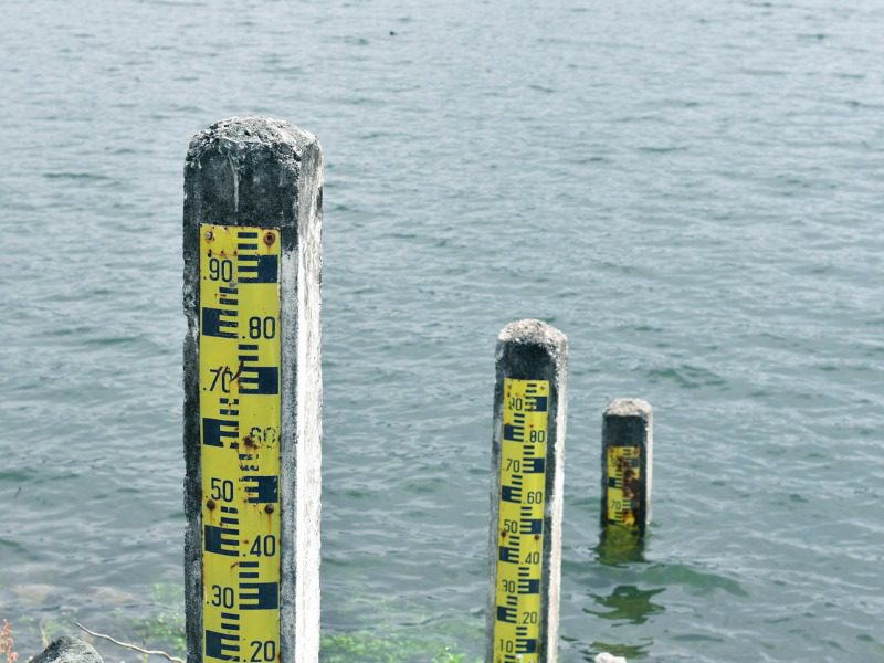 Poles measuring high water marks in a lake