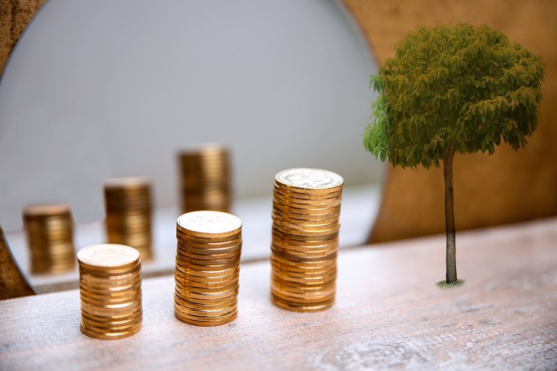 Golden Coins Increasing stacks with reflection in the mirror and growing green tree.