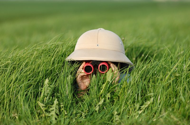 little boy in high grass searching for something...