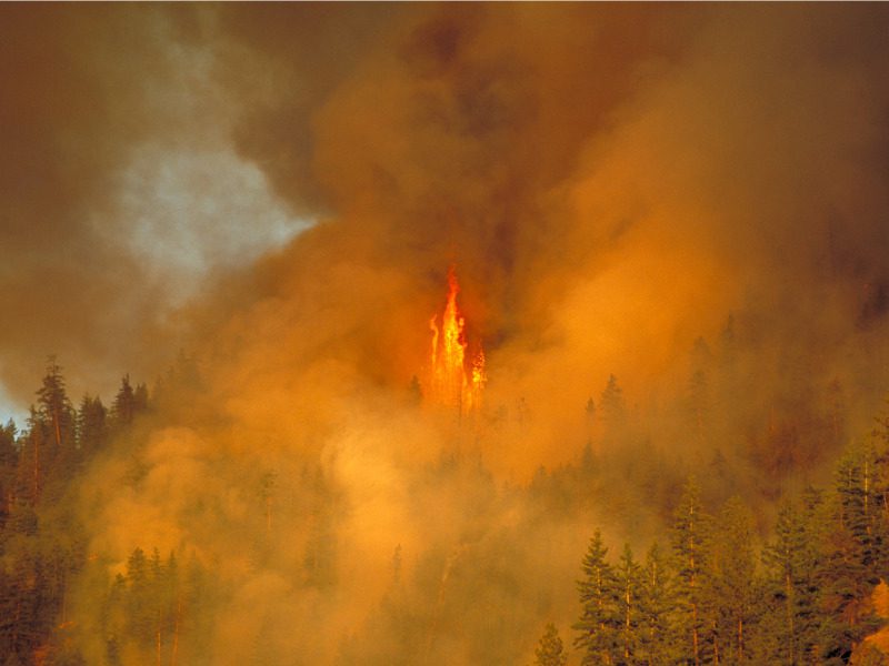 Forest fire burning in Penticton, B.C.