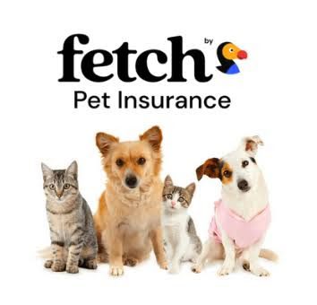 Fetch  Pet Insurance - How It Works and Is It Worth It?