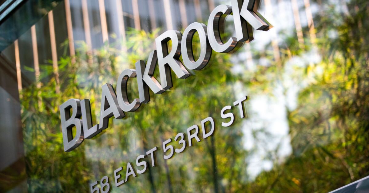 BlackRock sees insurers with $28T adding private assets