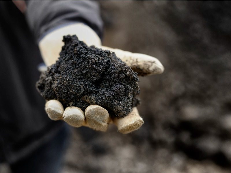 Oil sands oil being held by a field worker