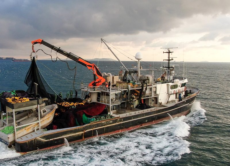 aerial view of fishing boat in the sea