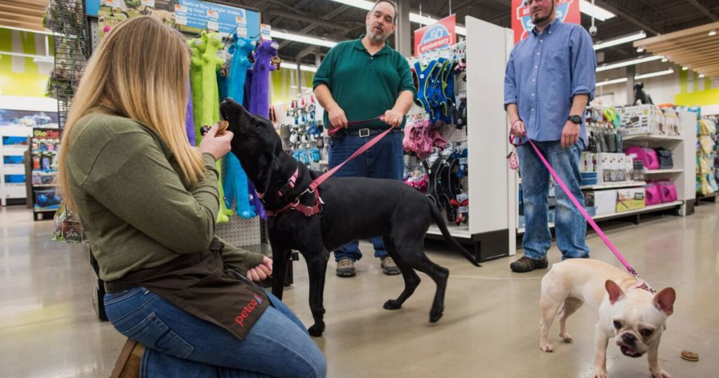 Nationwide partners with Petco, programs to be available in 2023