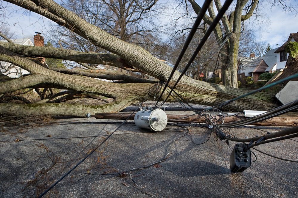 Canadian power supplier warns of 'substantial damage' this storm season