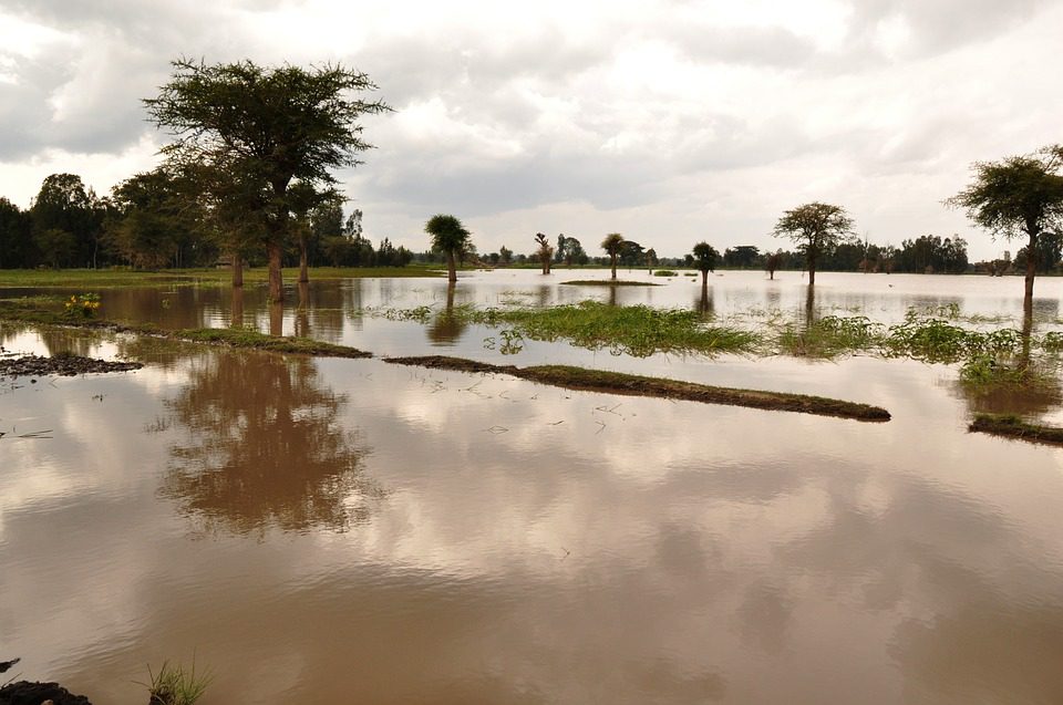 Flood Insurance