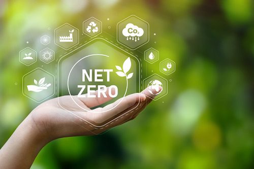 Transitioning together: How we are supporting clients on the net zero journey