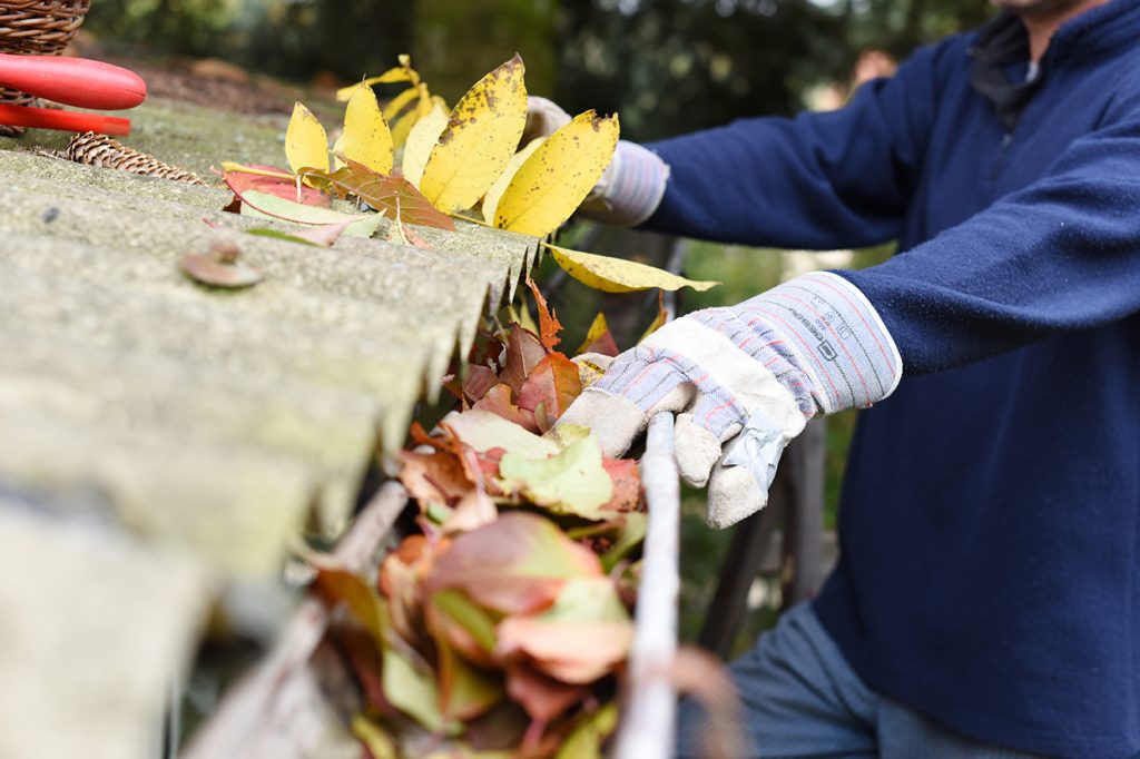 10 Autumn Home Maintenance Tips