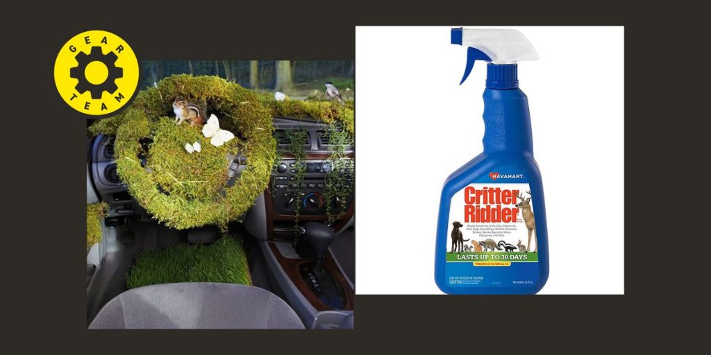 Keep Critters from Chewing Your Car Parts with These 8 Non-Toxic Rodent Repellents