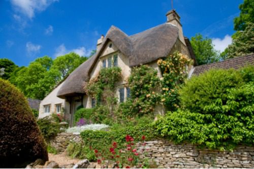 Thatch Home growth through the roof