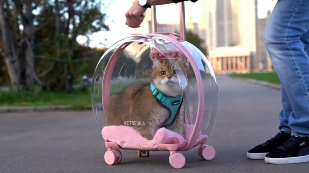 This pet-friendly trolly lets you carry your small furry friends outside