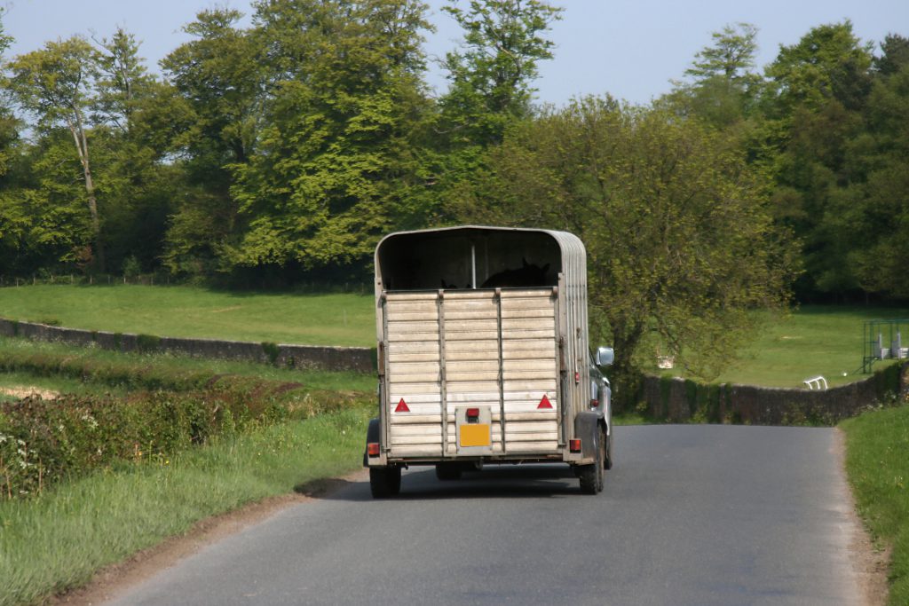 Car and horsebox trailer on the road.
