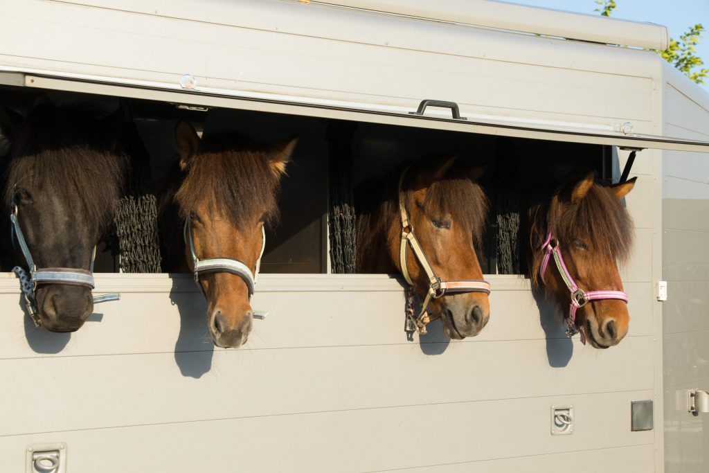 Horsebox Breakdown Cover – what to do if you break down