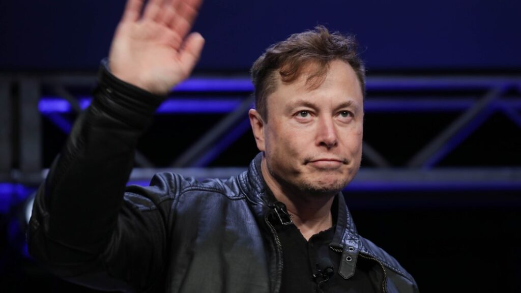 Elon Musk uses Tesla earnings call to brag about how popular he is on Twitter