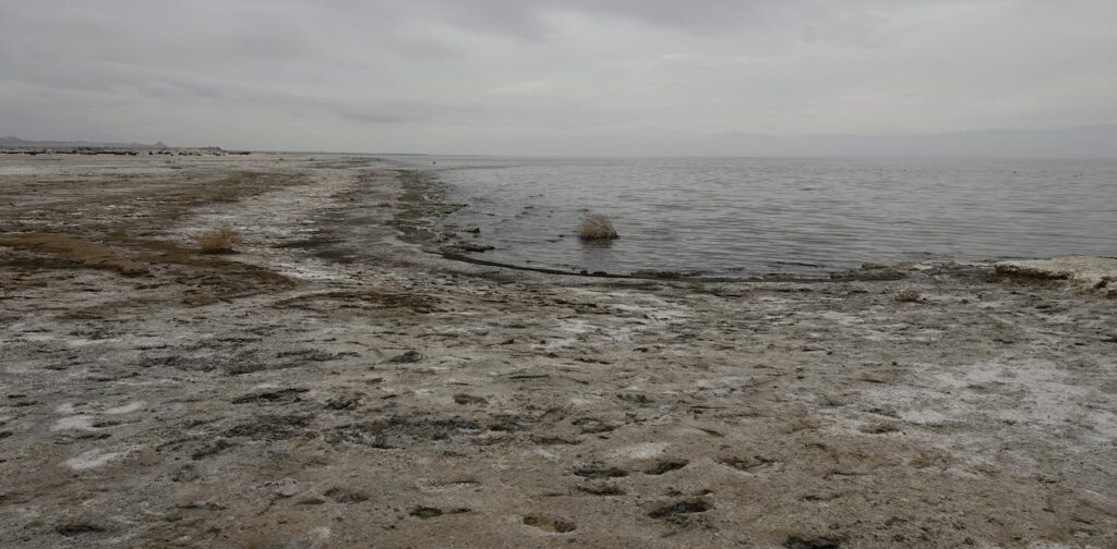 Human actions created the Salton Sea, California's largest lake – here's how to save it from collapse, protecting wild birds and human health