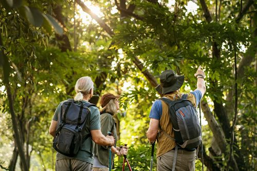 Aviva donates £38 million to restore rare native British rainforests